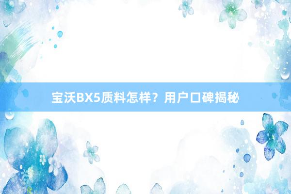 宝沃BX5质料怎样？用户口碑揭秘